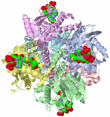 Image Asym./Biol. Unit