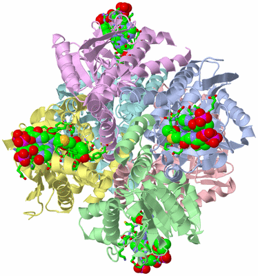 Image Asym./Biol. Unit - sites