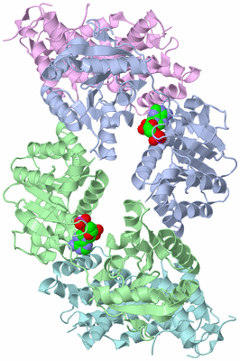 Image Biological Unit 1