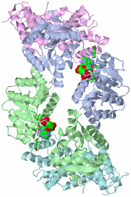 Image Biol. Unit 1 - sites