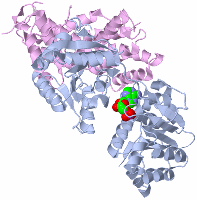 Image Biological Unit 2