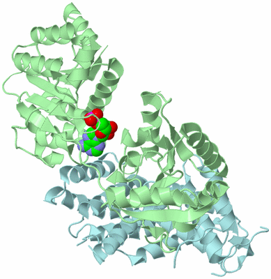 Image Biological Unit 3