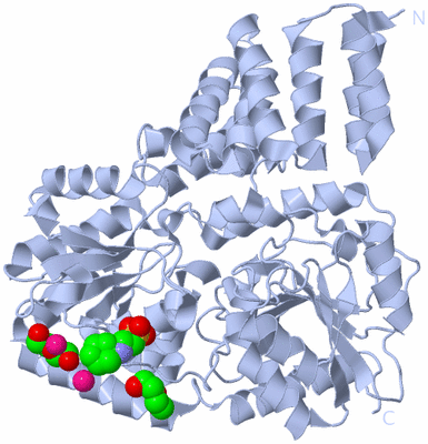 Image Biological Unit 1