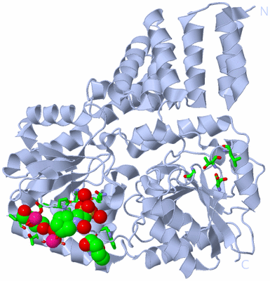 Image Biol. Unit 1 - sites