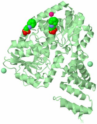 Image Biological Unit 2