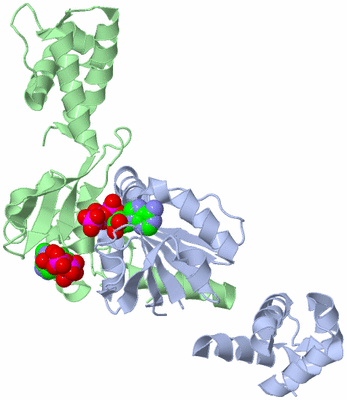 Image Asym./Biol. Unit