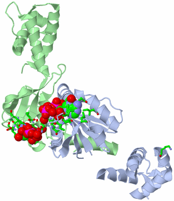 Image Asym./Biol. Unit - sites