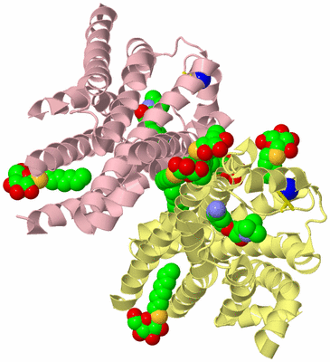 Image Biological Unit 2