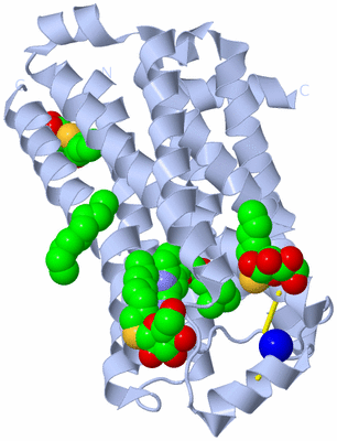 Image Biological Unit 3