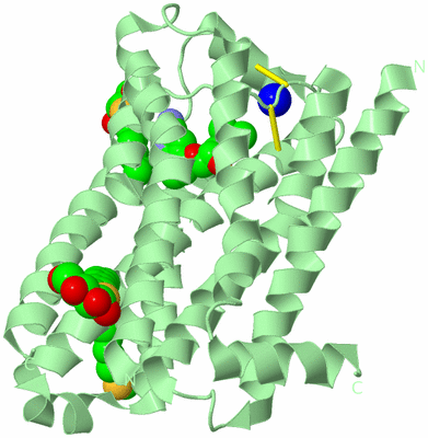 Image Biological Unit 4