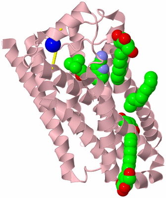 Image Biological Unit 5