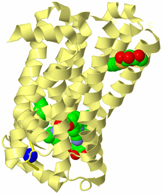 Image Biological Unit 6