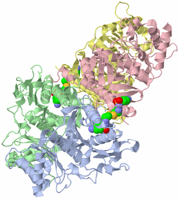 Image Biological Unit 1