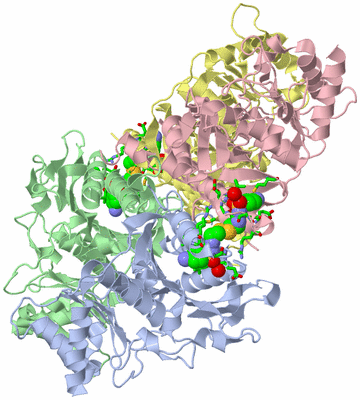 Image Biol. Unit 1 - sites