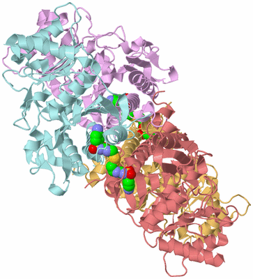 Image Biological Unit 2