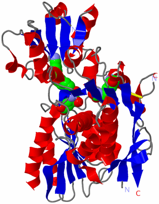 Image Asym./Biol. Unit