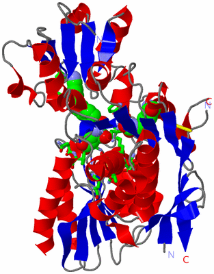 Image Asym./Biol. Unit - sites