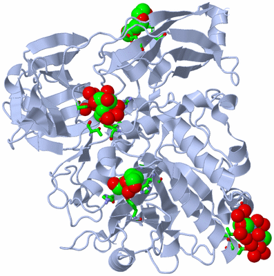 Image Biol. Unit 1 - sites