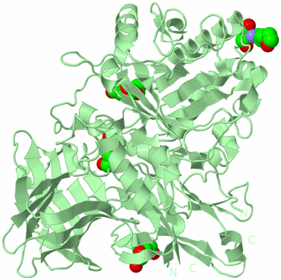 Image Biological Unit 2