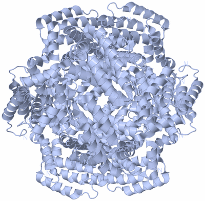 Image Biological Unit 1