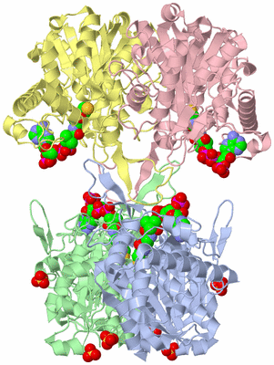 Image Asym./Biol. Unit