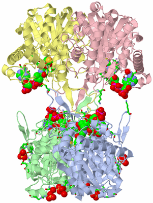 Image Asym./Biol. Unit - sites