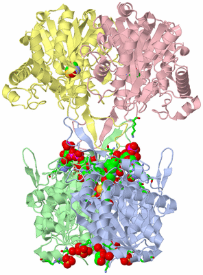 Image Asym./Biol. Unit - sites