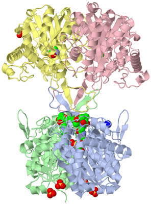 Image Asym./Biol. Unit