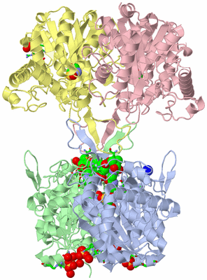 Image Asym./Biol. Unit - sites