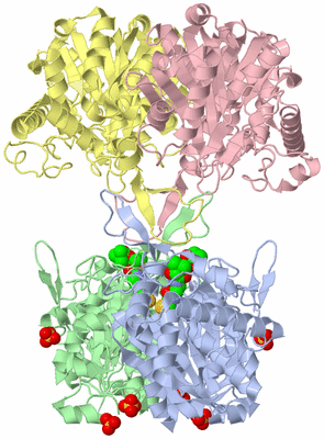 Image Asym./Biol. Unit