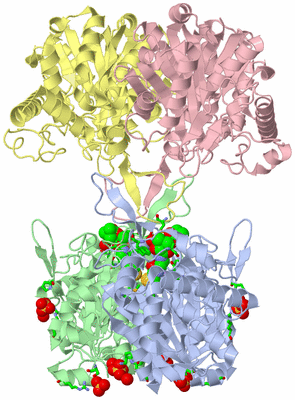 Image Asym./Biol. Unit - sites