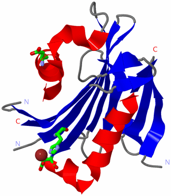 Image Asym./Biol. Unit - sites