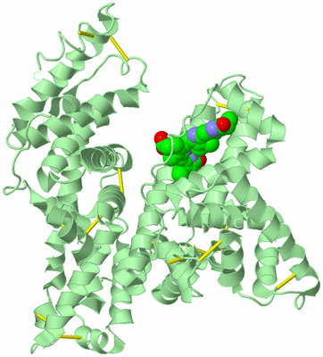 Image Biological Unit 2