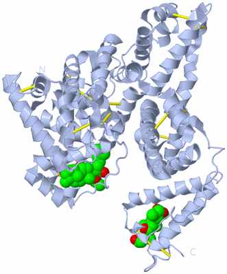 Image Biological Unit 1