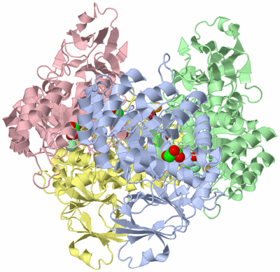 Image Asym./Biol. Unit