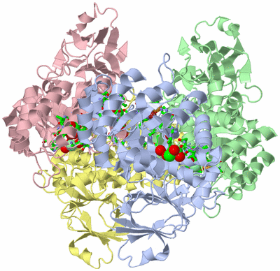 Image Asym./Biol. Unit - sites