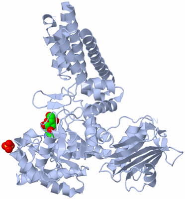 Image Biological Unit 1