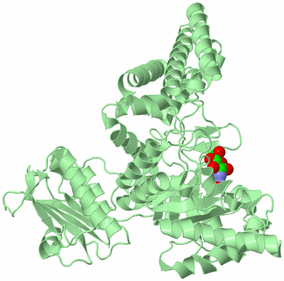 Image Biological Unit 2