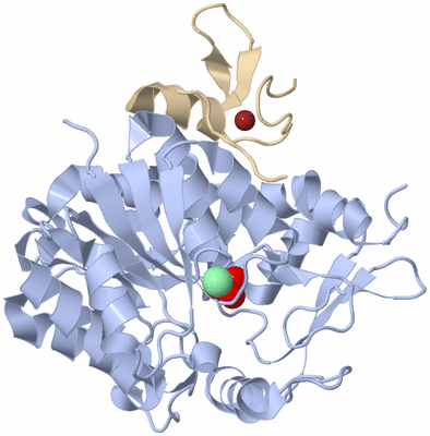 Image Biological Unit 1