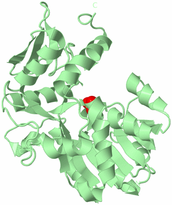 Image Biological Unit 10