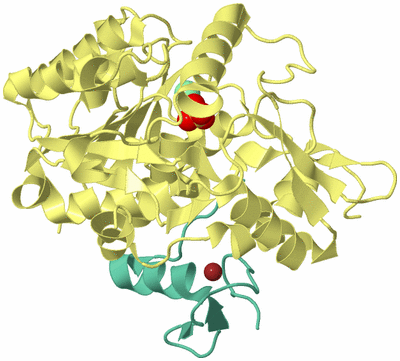 Image Biological Unit 4