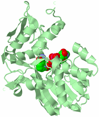 Image Biological Unit 10