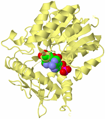 Image Biological Unit 12