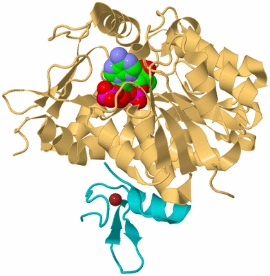 Image Biological Unit 7