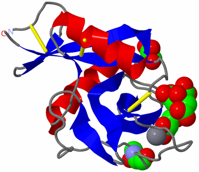 Image Asym./Biol. Unit