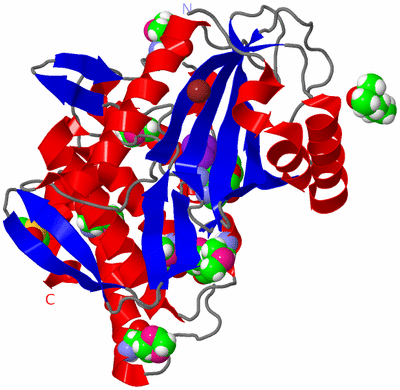 Image Asym./Biol. Unit