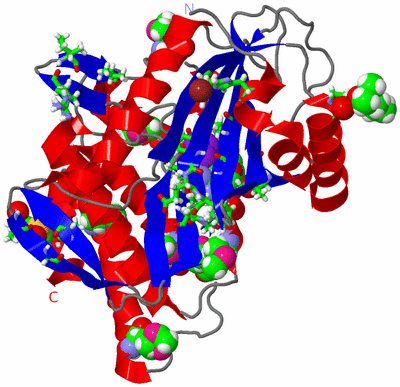 Image Asym./Biol. Unit - sites