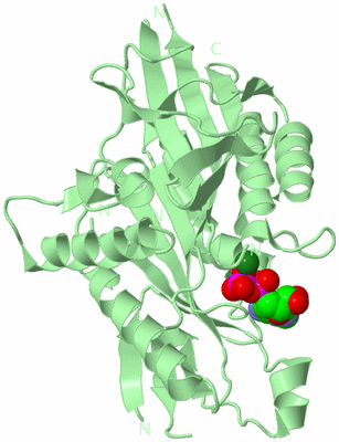 Image Biological Unit 2