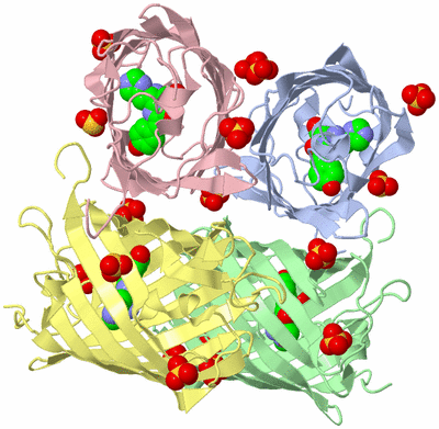 Image Asym./Biol. Unit