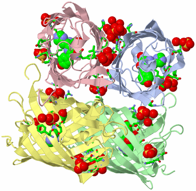 Image Asym./Biol. Unit - sites